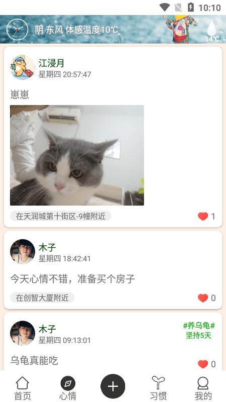 花千树app下载,花千树,习惯app,打卡app